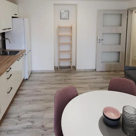 아파트 Apartman U Hriste 브르노